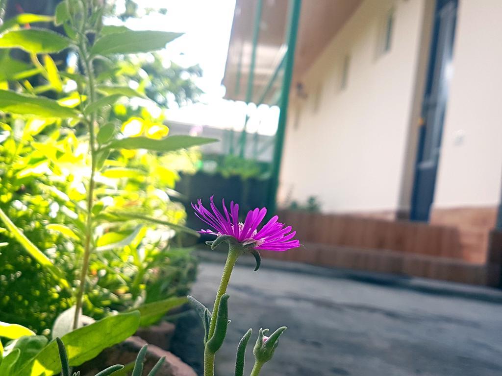 Guest House Villa クヴァレリ エクステリア 写真